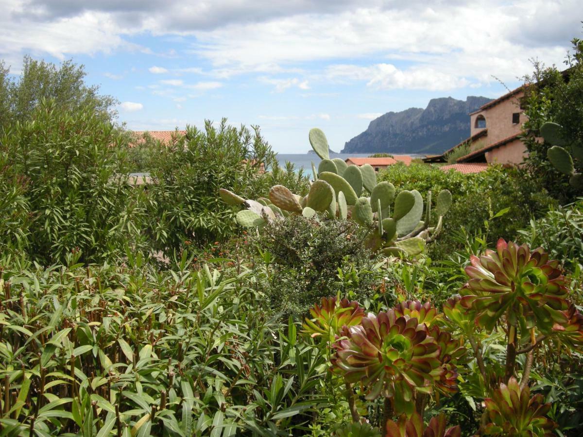 Casa Costa Corallina Mare Ferienhaus *